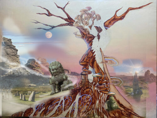 Spirit of the Mushrooms & Dartmoor .